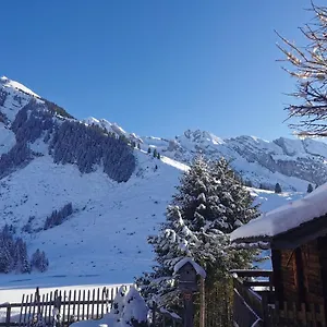 Du Des Confins Hotel La Clusaz